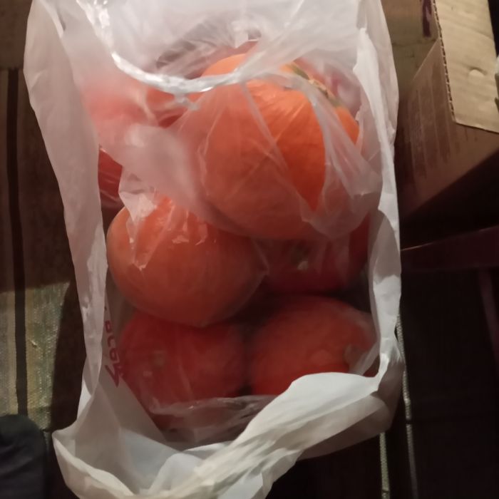 Продам тыкву-тыкву.