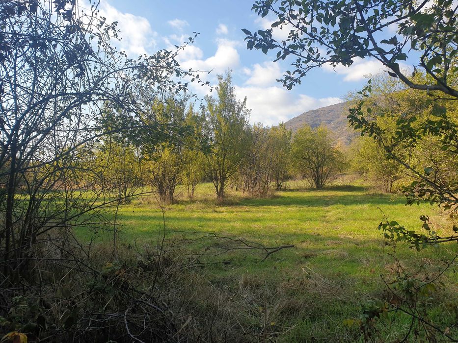 Продава се Парцел в Карлово - 1804 кв.м за 30 €/кв.м - Снимка #3