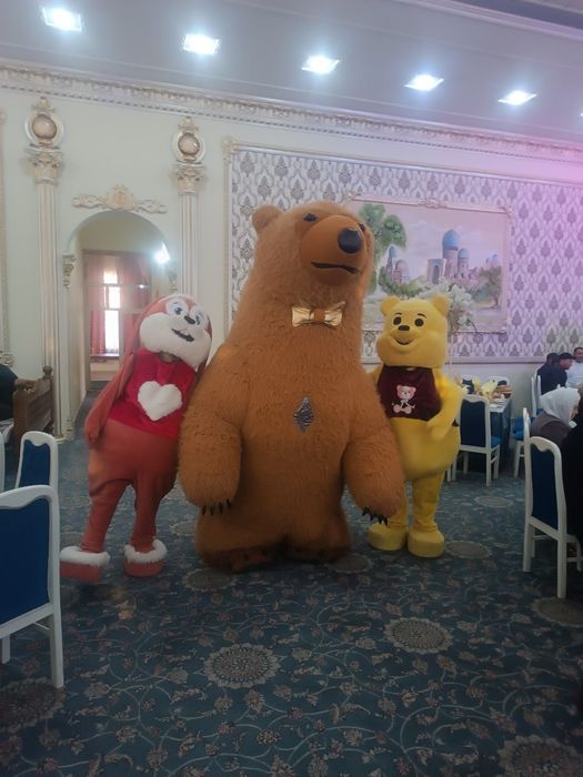 Ayiqlar Katta va kichik ayiqlar tuy va marosimlarda xizmatingizda