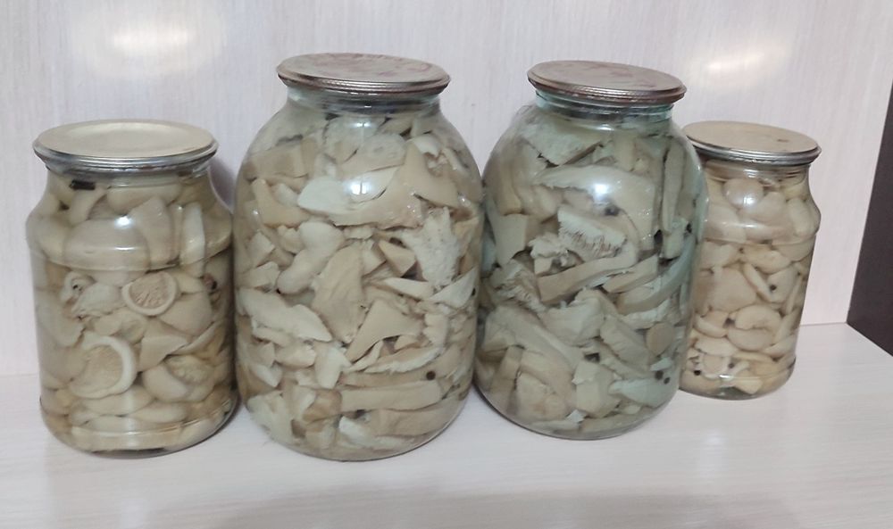 Белые грибы маринованные