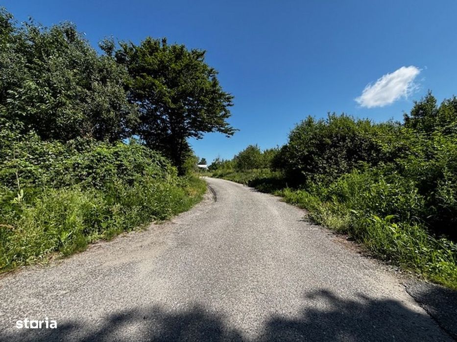 Teren doua loturi 3100/14 mp. - 2800/12 mp. Dăesti - Valcea