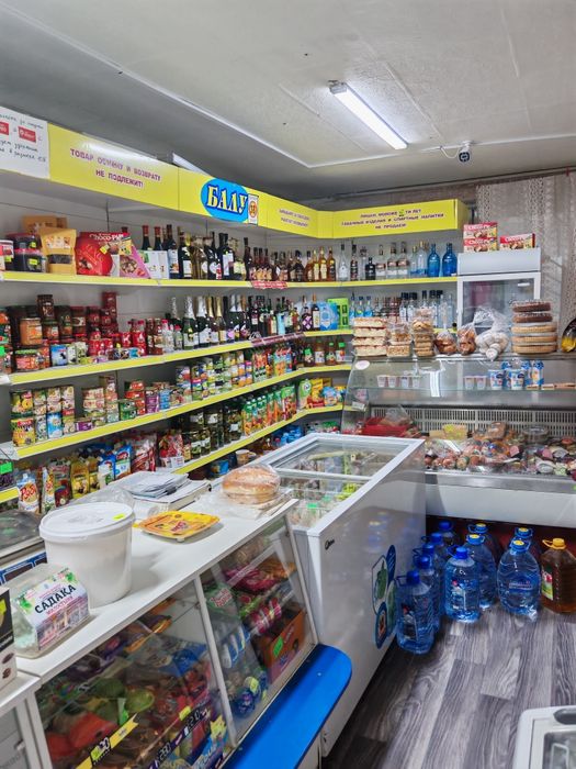 Продам действующий магазин Балу