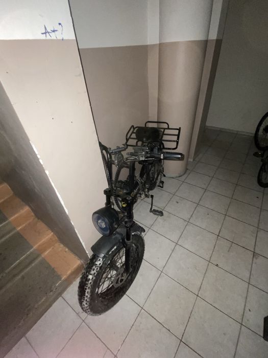 Электро велик леопард