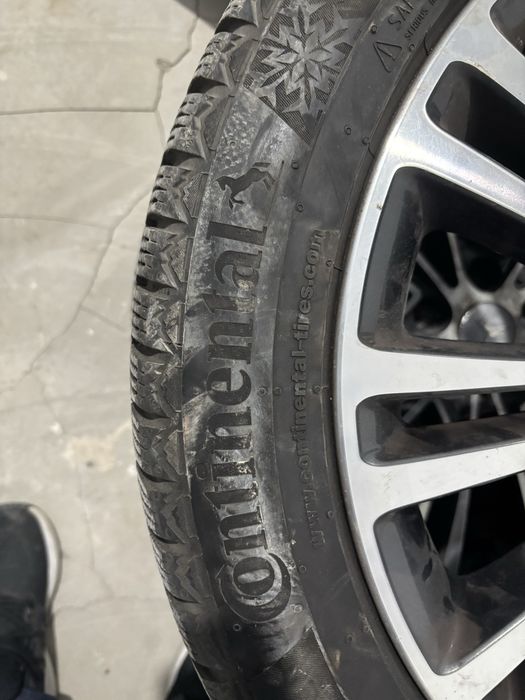 титанка с покрыжкой