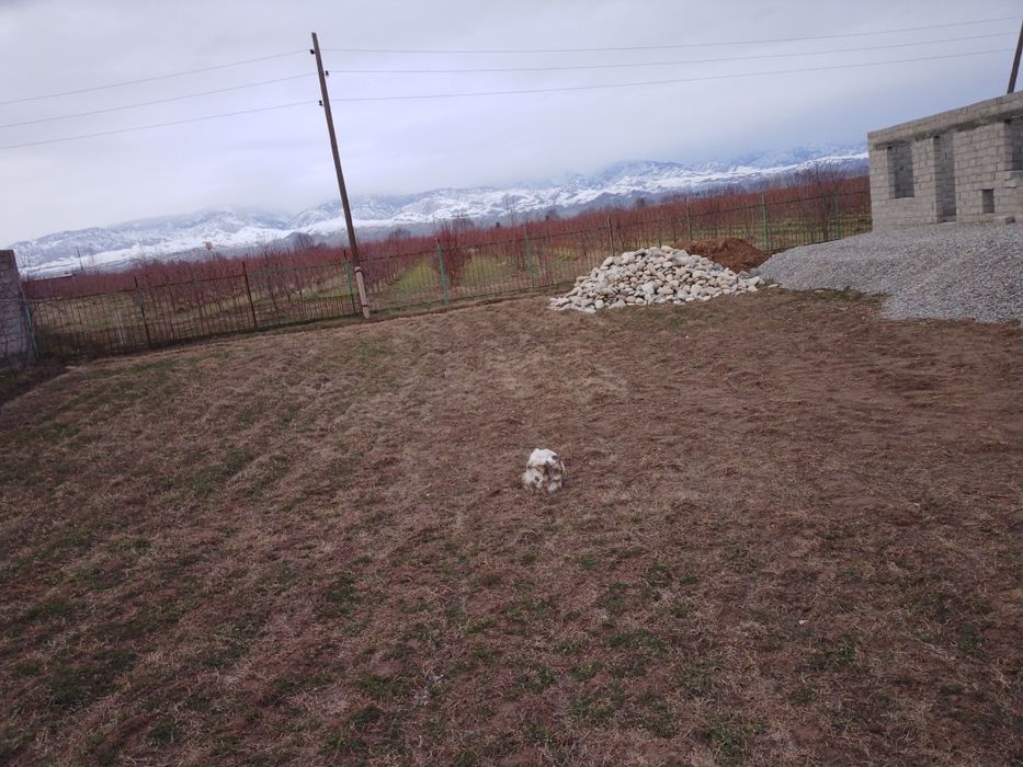 Yer sotiladi 6 sotiq