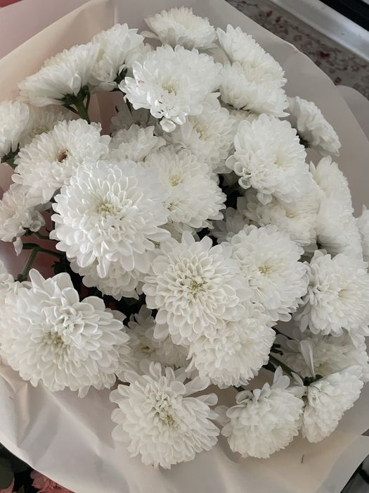 Гүл сатылады арзанға