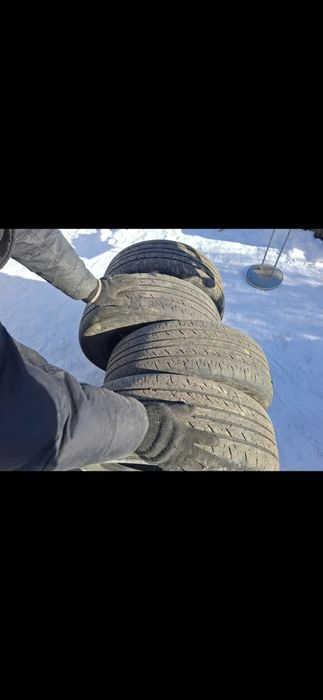 Резина от шарана