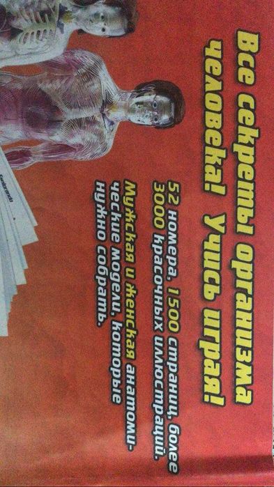 книги по анатомии человека