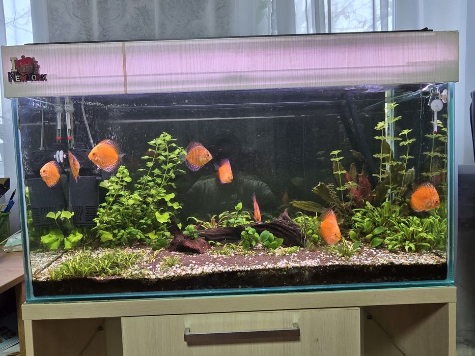 Аквариум с тумбой