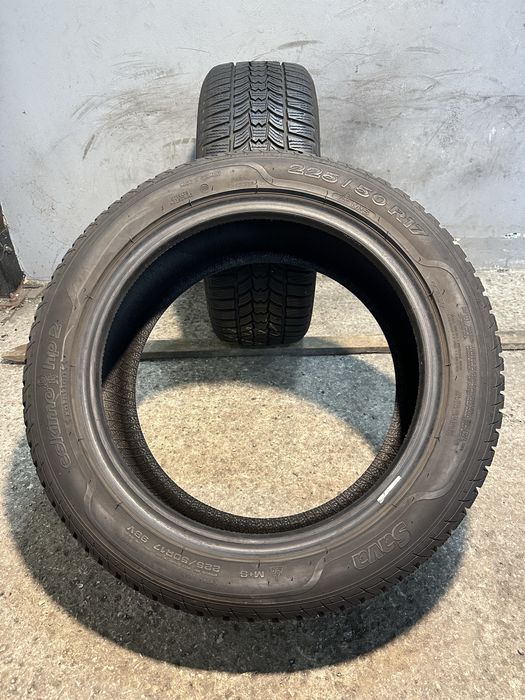 Гуми 225/50/17 SAVA Eskimo HP Winter