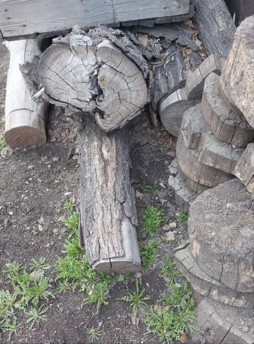 Карагач на дрова