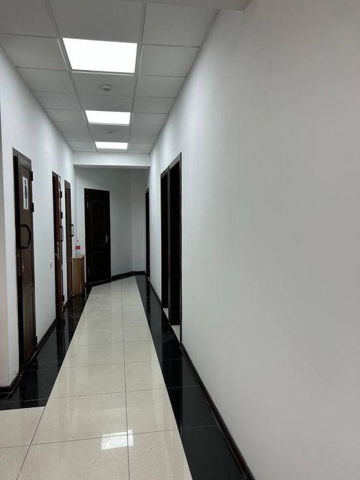Аренда офис Ор-р: Шохмед центр 323м2