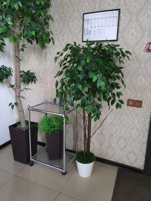 Продам искуственые деревья