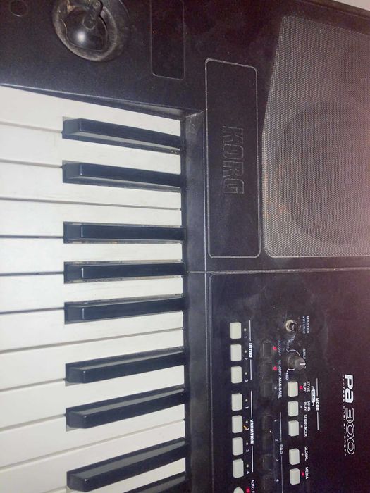 Vând urgent korg pa 300