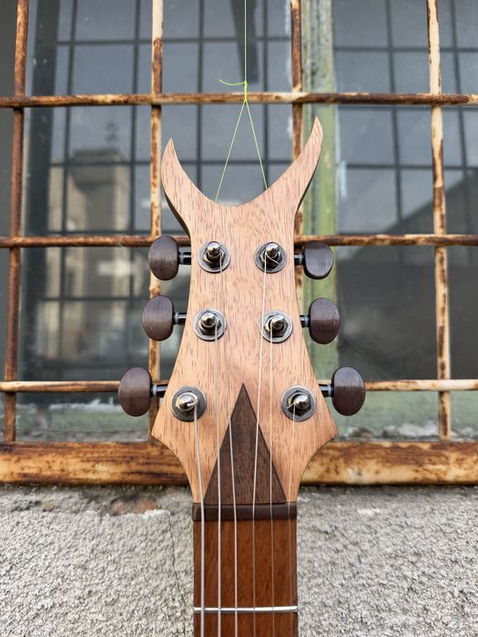 Chitară Electrică Handmade