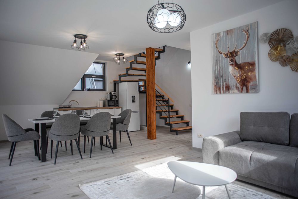 Yael Luxury Apartments 6-A-FRAME Busteni