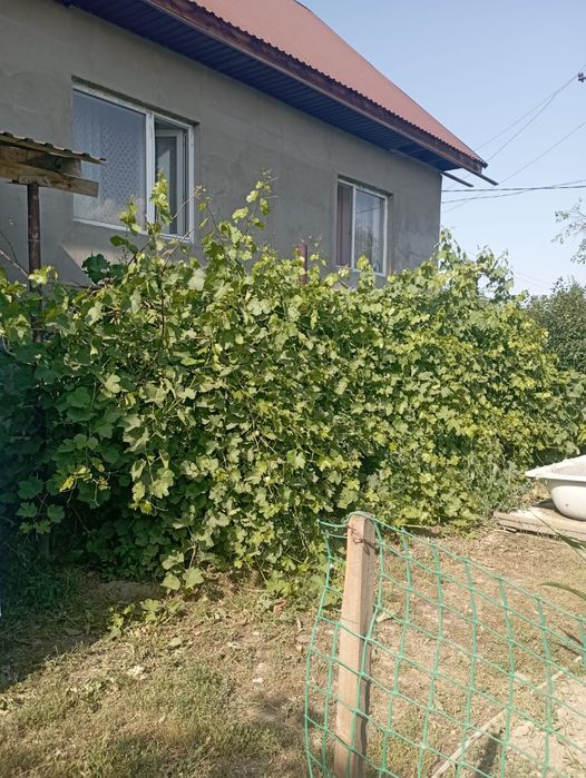 Дача мечта срочно