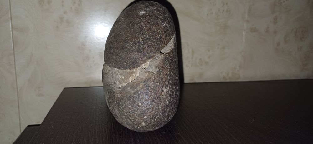 Окаменелое яйцо Динозавра