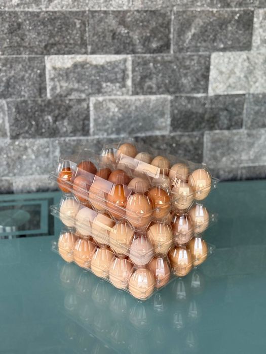 Oua de gaina de casa