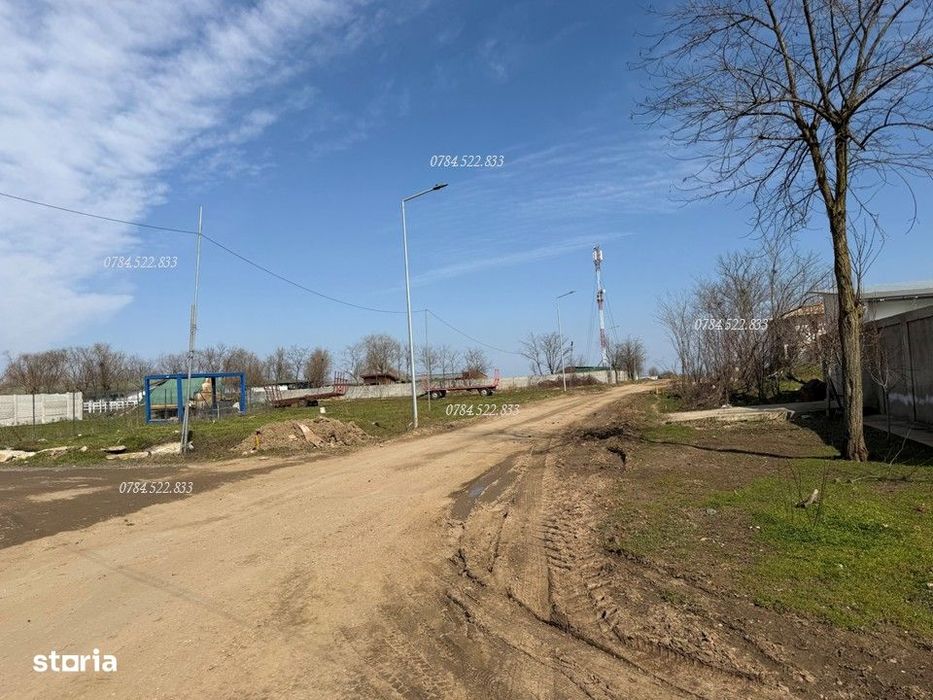 Teren intravilan GAZ si CURENT in comuna Berceni Ilfov