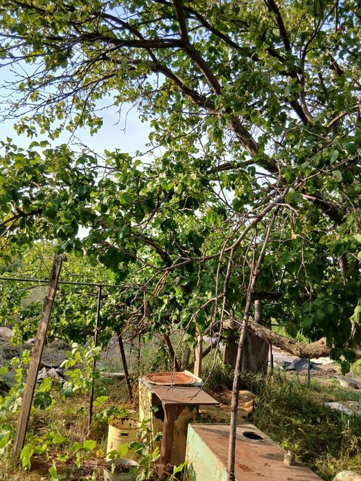 Продам дачу за городом