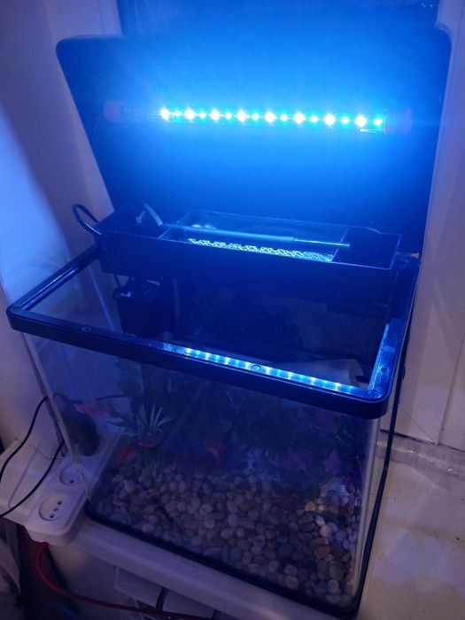 Заводской аквариум на 22 L.