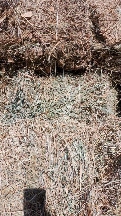 Продам  сено разнотравие