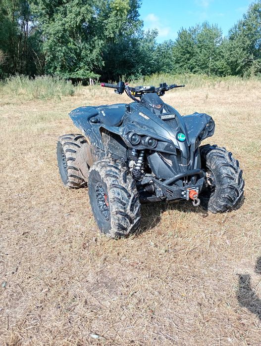 Can am renegade