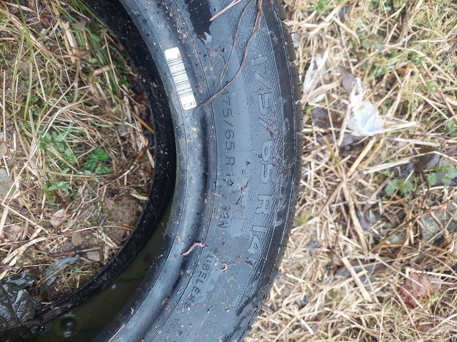 Vand cauciuri urgent