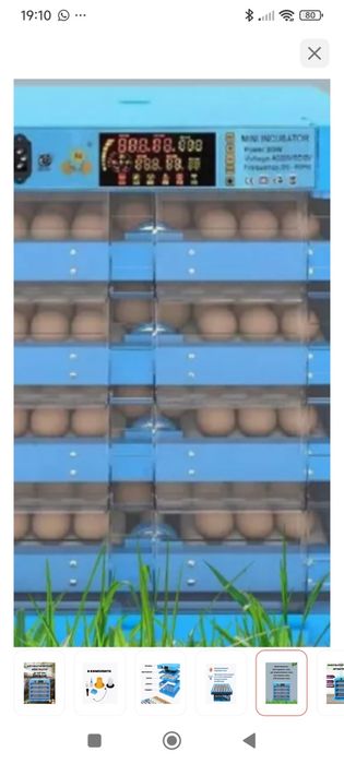 Продам инкубаторы!!!