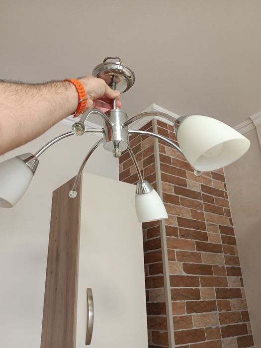 Полилей Ana 2 броя