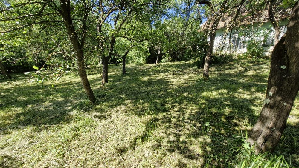 Teren intravilan Dioșod