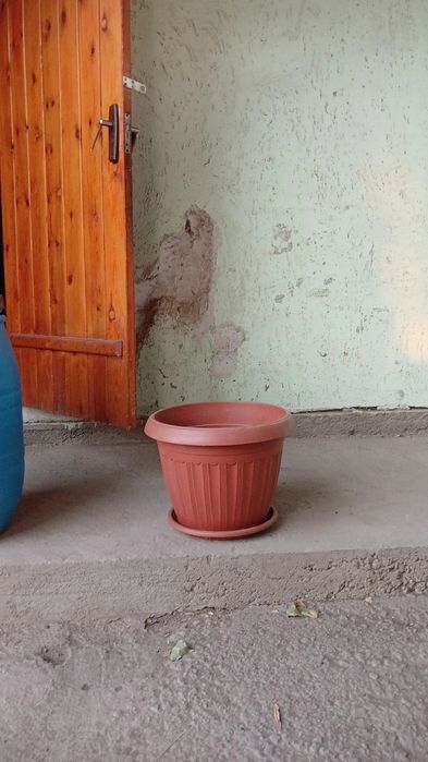 Горшок цветочный