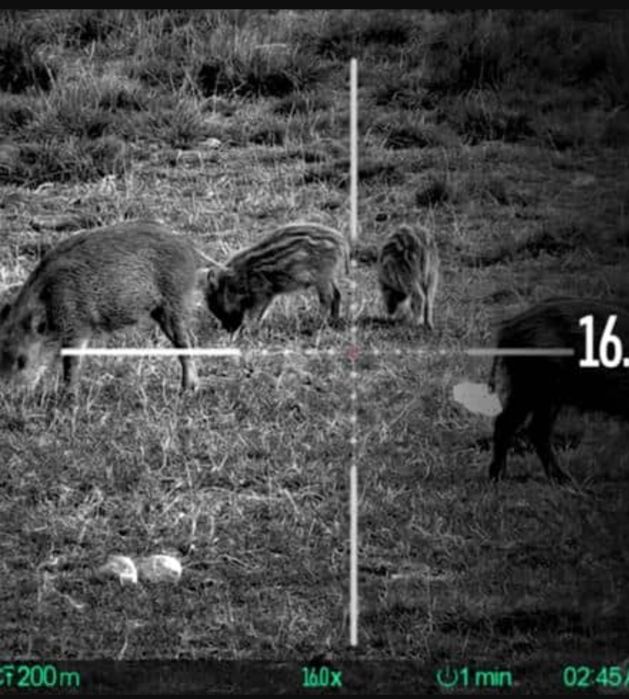 Оптика Цифров прицел HIKMICRO Alpex