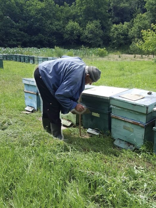 Vând stupi compleți