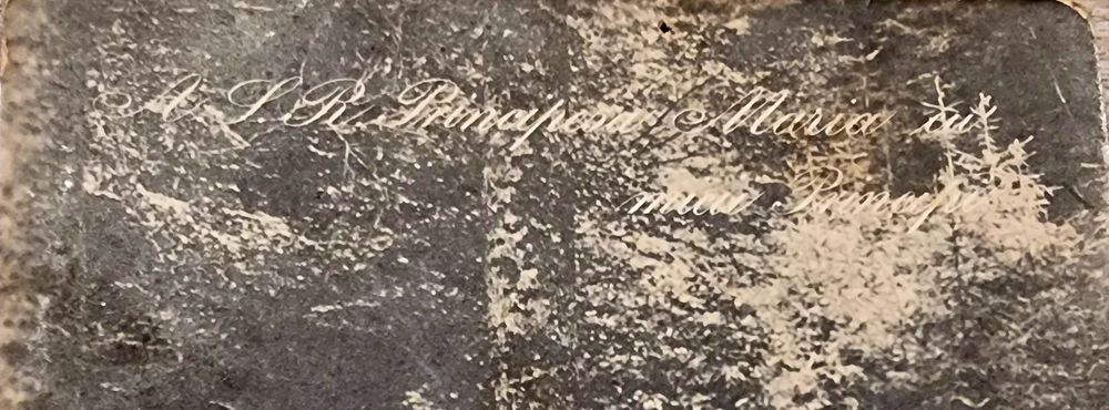 Carte postala circulata,regina Maria cu copii !