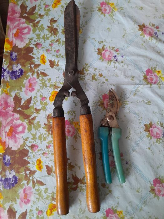 Продам дачные семена