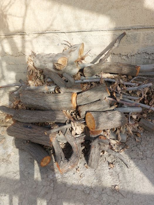 Утин сотилади курук