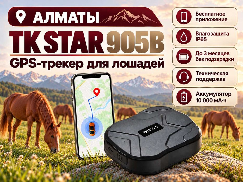 GPS трекер для лошадей. Жпс жылқыға