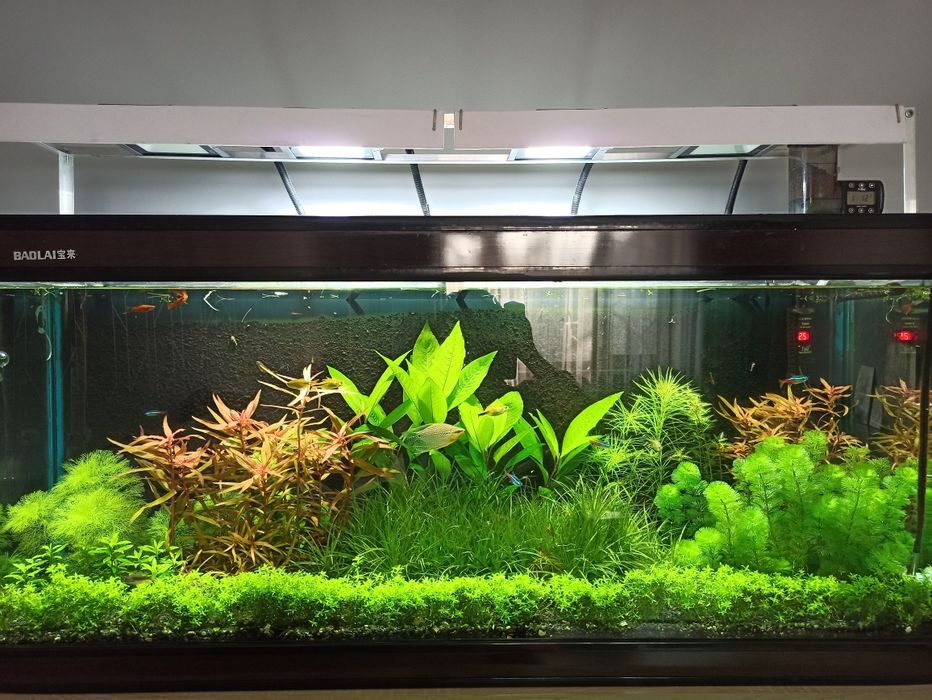 Аквариум 240 литров