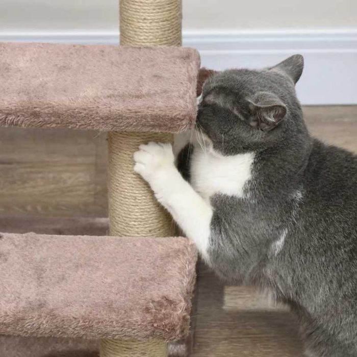 Дърво за котки PawHut, Стълби за домашни любимци, 3 стъпала