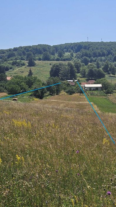 Casă cu teren 8.000 mp și livadă