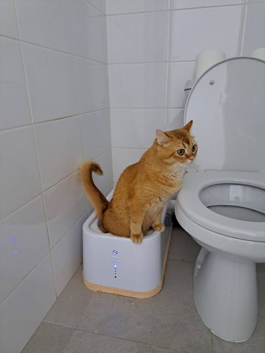Кошачий туалет с авто смывом