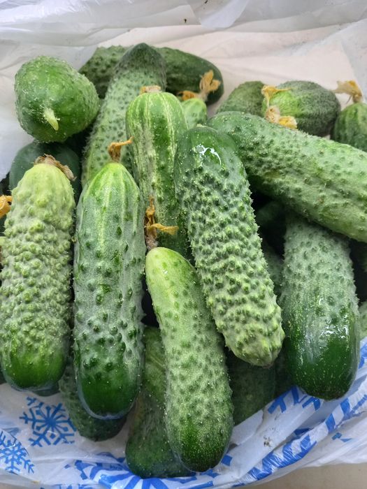 Продам огурцы домашние 350г  килограмм