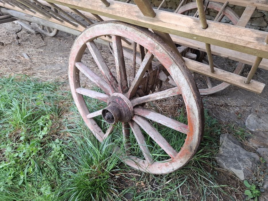 Конска каруца за конска.