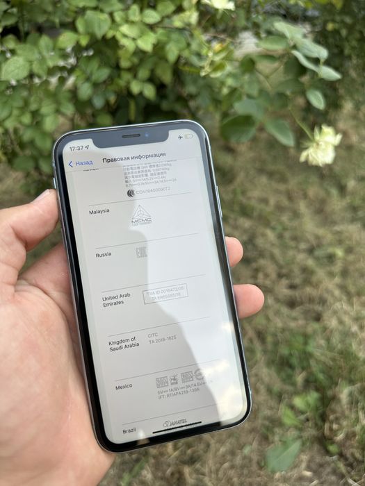 iPhone XR Blue.