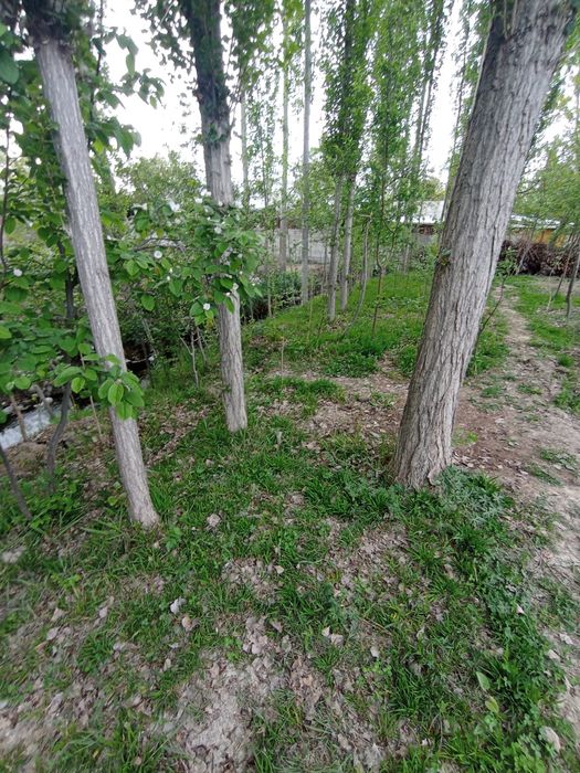 Срочно yer sotiladi  dachabop.