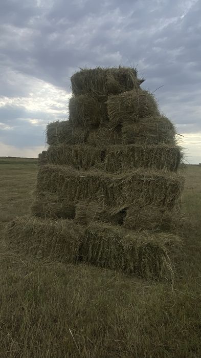 Сено сено сено.