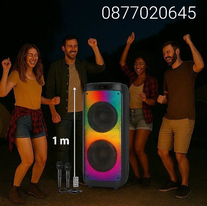 Професионална двойна караоке тонколона 2х12 инча BTS-1938 с Bluetooth