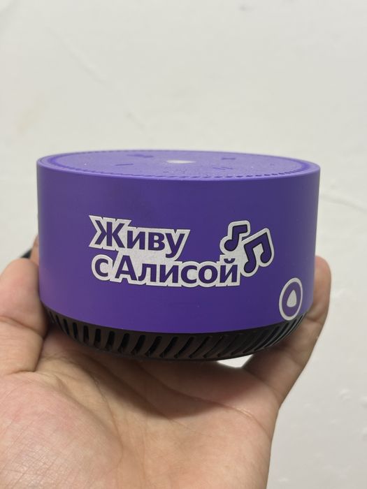 Алиса сатам, срочно акша керек